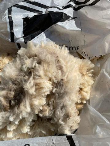 schapenwol GRATIS beschikbaar voor biedingen