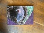 Biogenie 4.1, Boeken, Schoolboeken, Ophalen of Verzenden, Zo goed als nieuw, Biologie, De Boeck