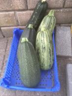 Courgette BIO 2 kleine(1a1,5 kg) of 1 grote (2 a 2,5 kg) 1€, Zakelijke goederen, Landbouw | Aardappelen, Groenten, Fruit en Vlees