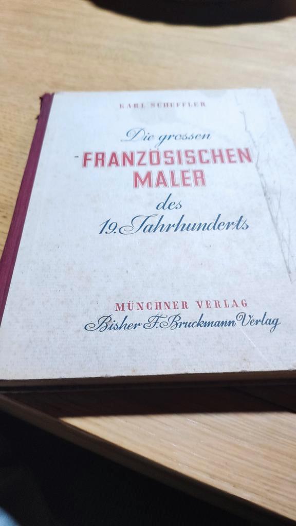 Französischen Maler des 19.Jahrhunderts, Boeken, Kunst en Cultuur | Beeldend, Gelezen, Ophalen of Verzenden