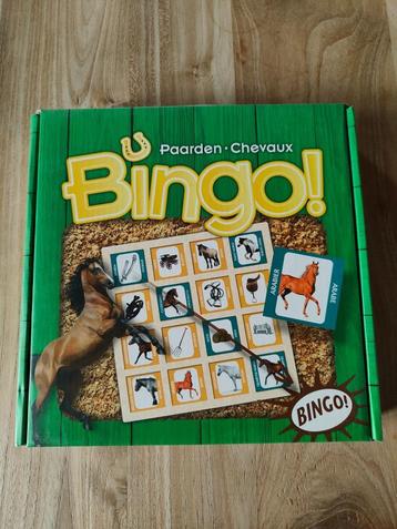Bingo Paarden beschikbaar voor biedingen
