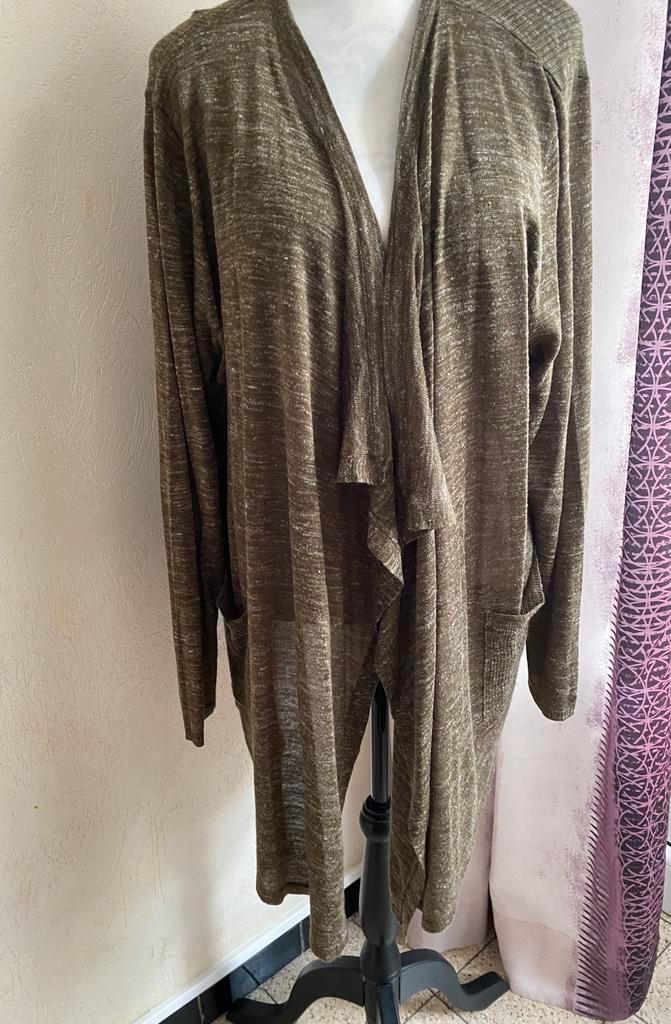 Asymmetrisch lang vest maat 52/54, Kleding | Dames, Grote Maten, Zo goed als nieuw, Ophalen of Verzenden