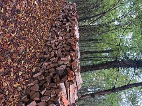 Bois de chauffage, Tuin en Terras, Brandhout, Blokken, Verzenden