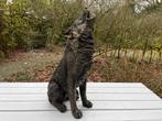 (Tuin)Beeld wolf, woonkamer, terras, tuin, 75 cm, Ophalen, Nieuw, Kunststof, Dierenbeeld