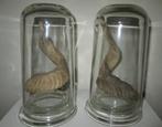 2 glazen STOLPEN  met HOORNTJES uit TIBET, Antiek en Kunst, Ophalen of Verzenden