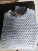 Trui M. Lichtblauw. Andy and Lucy, Kleding | Dames, Maat 38/40 (M), Andy and Lucy, Blauw, Ophalen of Verzenden