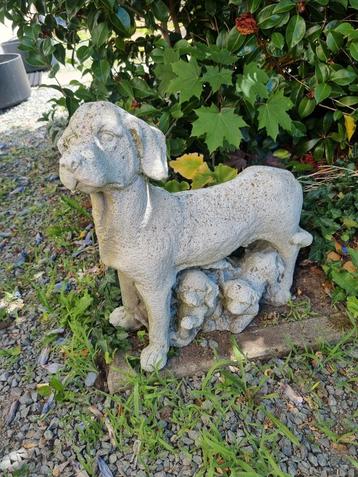 Stenen hond  beschikbaar voor biedingen