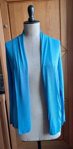 Blauwe gilet / trui - maat M, Ophalen of Verzenden, Zo goed als nieuw, Maat 38/40 (M)