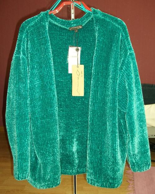 Te koop: Dikke groen/blauwe cardigan in geribde fluweel, M., Vêtements | Femmes, Pulls & Gilets, Comme neuf, Taille 38/40 (M)