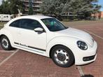 VW Beetle, Auto's, Volkswagen, Wit, Handgeschakeld, Particulier, Onderhoudsboekje