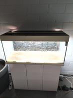 juwel rio aquaruim 180, Dieren en Toebehoren, Ophalen, Gebruikt, Leeg aquarium