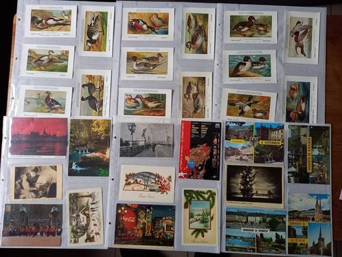 lot 112 cartes postales (Brunita,Bio-tex,oiseaux,..., Collections, Cartes postales | Thème, Non affranchie, Enlèvement ou Envoi