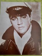 Foto, s elvis presley, Verzamelen, Foto's en Prenten, Ophalen of Verzenden, Zo goed als nieuw, Foto
