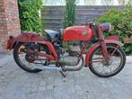 MV Agusta 150 Sport D 1952, Sport