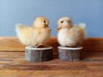 Set van 2 lieve eendjes op houten voet, Ophalen of Verzenden, Zo goed als nieuw, Vogel, Opgezet dier
