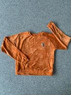 Velours truien dames maat 34, Kleding | Dames, Ophalen, Zo goed als nieuw, Maat 34 (XS) of kleiner