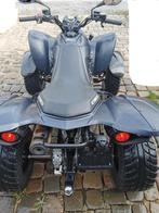 Maxxer 300 landbouwquad, Motoren, 300 cc, 12 t/m 35 kW