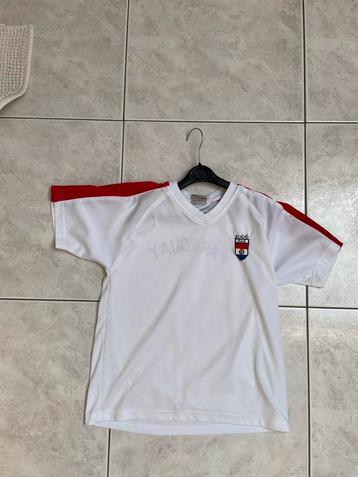 Maillot Paraguay 2006