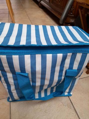 Sac à pique-nique à lignes bleues pâles et blanches