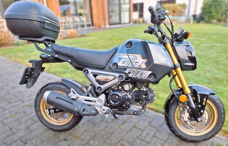 Honda MSX 125 van 2023 | Eerste eigenaar, Motoren, Motoren | Honda, Particulier, 11 kW of minder, 1 cilinder, Minimaal motorrijbewijs A1