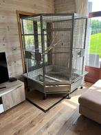 XXL papegaaienkooi, Ophalen, Gebruikt, Vogelkooi
