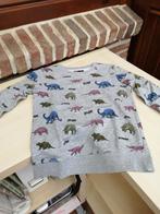sweater in katoen met dino prints maat 9-10 j, Gebruikt, Tex, Trui of Vest, Ophalen of Verzenden