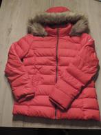 skijas TOMMY HILFIGER, Ophalen of Verzenden, Zo goed als nieuw, Ski, Kleding