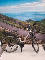 Thompson Voltage D46 500Wh Bosch Active Line Plus, Fietsen en Brommers, Minder dan 47 cm, Ophalen, Gebruikt, 50 km per accu of meer
