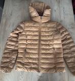 Tommy Hilfiger jas dames essential beige maat S, Kleding | Dames, Ophalen, Zo goed als nieuw, Maat 36 (S), Beige