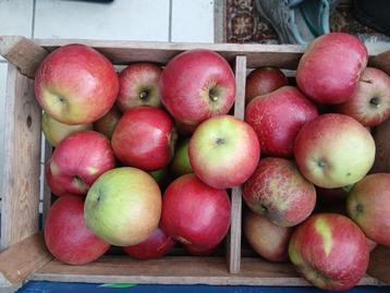Appelen beschikbaar voor biedingen