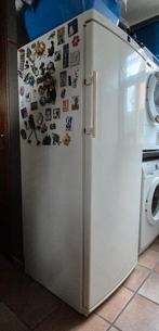 diepvries, Electroménager, Congélateurs, Congélateur, 160 cm ou plus, Enlèvement, Utilisé