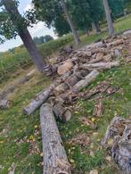 Brandhout laatste stuks, Tuin en Terras, Brandhout, Ophalen, Blokken