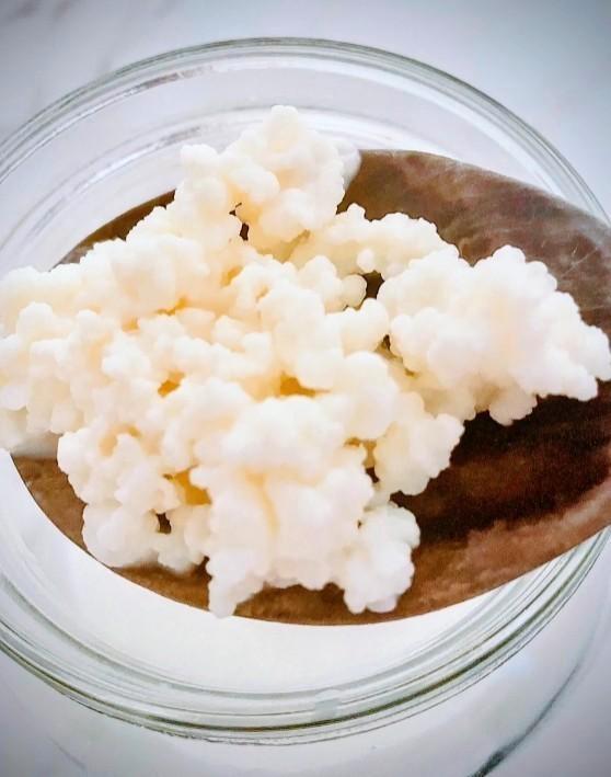 Melk kefir, Diversen, Levensmiddelen, Ophalen