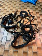 Harnais en cuir poney ou Hilfiger neuf, Dieren en Toebehoren, Paarden en Pony's | Hoofdstellen en Tuigage, Ophalen, Zo goed als nieuw