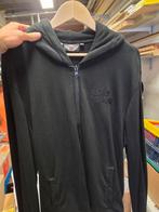 Sweater harley Davidson, Ophalen of Verzenden, Zo goed als nieuw