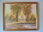 Schilderij landschap gesigneerd met kader hout en goud, Ophalen of Verzenden