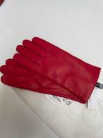 Harssidanzar handschoenen xxl, Kleding | Dames, Handschoenen, Nieuw, Harssidanzar, Maat 46/48 (XL) of groter