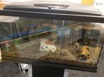 Aquarium, Dieren en Toebehoren, Ophalen, Zo goed als nieuw