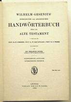 Hebräisches und Aramäisches Handwörterbuch OT 1921 Gesenius, Antiquités & Art, Antiquités | Livres & Manuscrits, Enlèvement ou Envoi