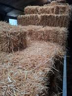 Kleine balen hooi en stro, Zakelijke goederen, Landbouw | Veevoer, Ophalen