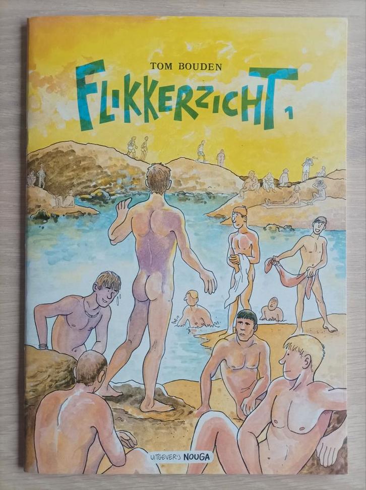 11 albums Flikkerzicht (Tom Bouden), Livres, Livres d'images & Albums d'images, Comme neuf, Enlèvement ou Envoi