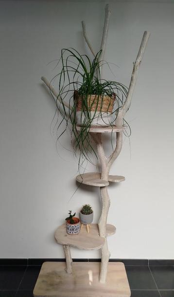 Arbre à plantes (ou à chat) beschikbaar voor biedingen