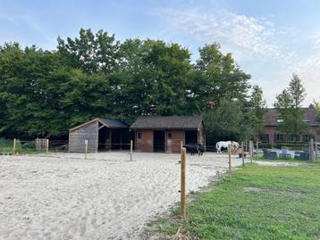 Pony stalling weide  beschikbaar voor biedingen