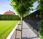 Zwart Zweeds Rabat | Vuren | Gevelbekleding | Potdeksel, Tuin en Terras, Ophalen, Nieuw, 250 cm of meer, Planken