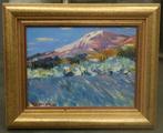 Tony RENIERS, winter aan de Mont Ventoux, Ophalen of Verzenden