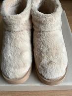 Enkellaarsjes maat 36 merk only. Nieuw zonder prijskaartje., Neuf, Enlèvement ou Envoi, Beige, Boots et Botinnes