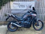 honda  transalp 750 abs bj 2024 zeer goede staat + opties, Motos, Permis Moto A, Entreprise, Plus de 35 kW, 2 cylindres