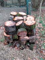 bois de chauffage, Jardin & Terrasse, Bois de chauffage, Moins de 3 m³, Enlèvement, Hêtre, Bûches