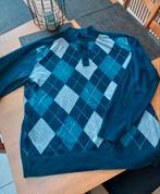 WESTBURY TRUI MAAT L, Kleding | Heren, Truien en Vesten, Ophalen of Verzenden, Gedragen