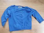 Cardigan Hampton Bays, Blauw, Maat 42/44 (L), Ophalen of Verzenden, Zo goed als nieuw